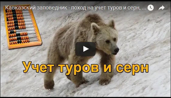 Пешие походы по Кавказу и сталк: маршруты Адыгеи, штольни Никеля и заброшенные объекты