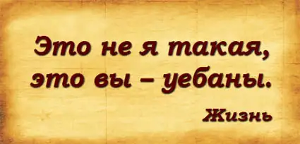 Кризис и прекращение деятельности ВОВГО: причины упадка оружейной общественной организации