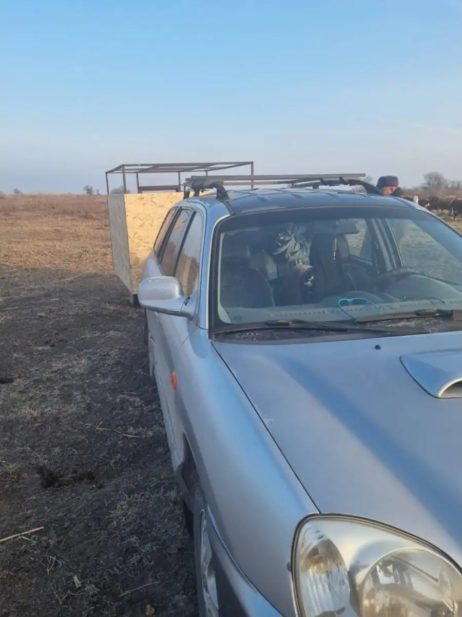 Охота на волка, шакала и лису в Астраханской области: организация, тактика и снаряжение