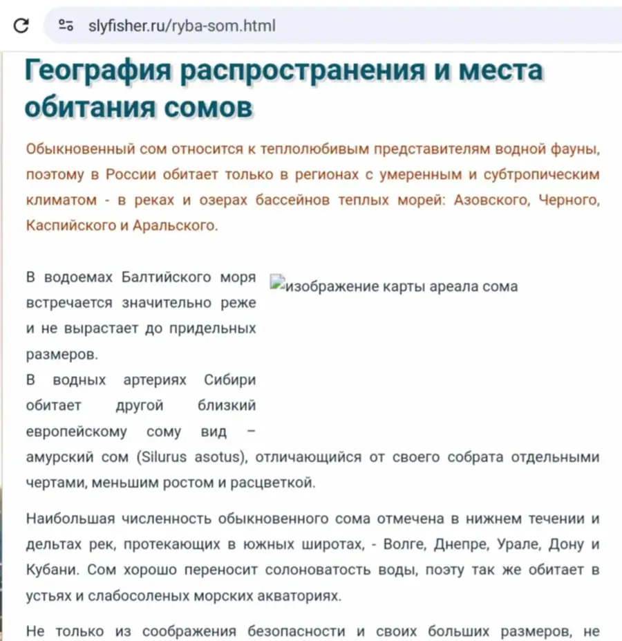 Ловля сома: снасти, приманки, техника квочения и кулинарная обработка