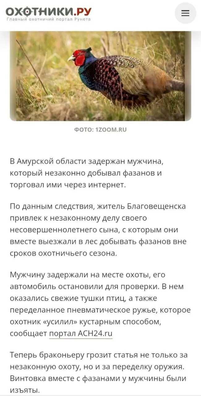 Гражданское оружие, юридические риски и подручные средства самообороны