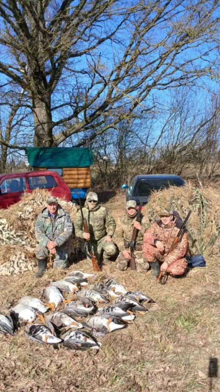 Охота в Гродненской области: организация туров, трофеи и сезонные особенности в…