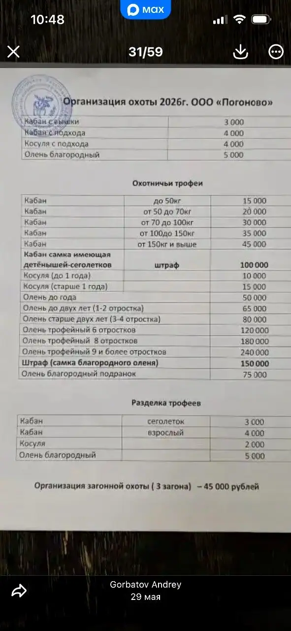 Организация охоты на кабана, косулю и оленя в Воронежской области