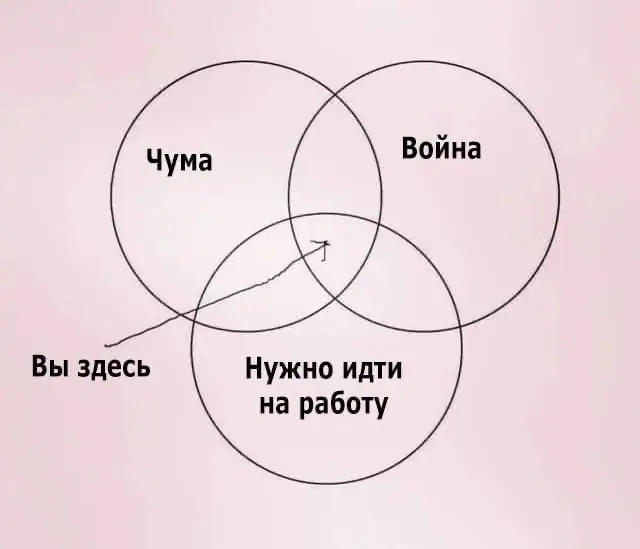 Случай в Шелеховской больнице: подозрение на чуму, карантинные меры и клинические…
