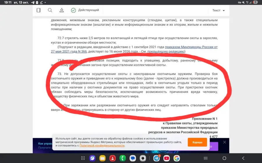 Выбор места и правила пристрелки оружия в охотугодьях Московской области