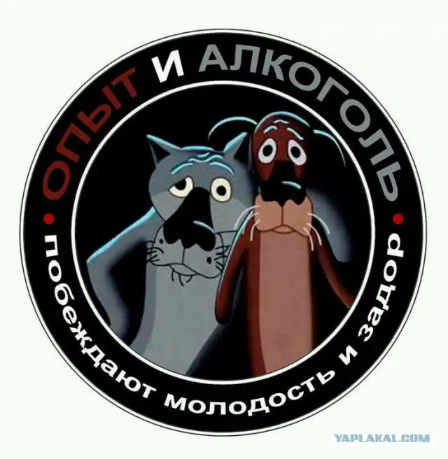 Домашнее пивоварение, воздействие на организм и свойства пива