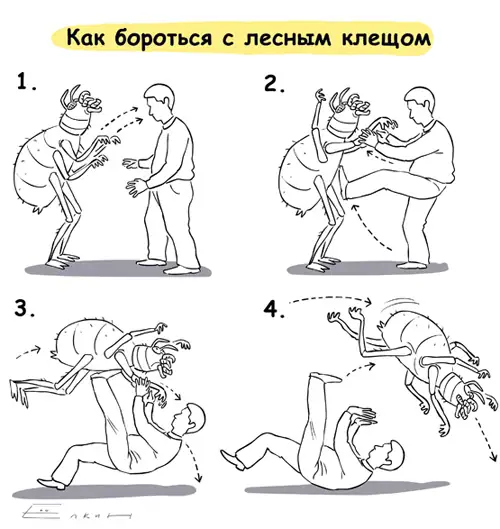 Удаление клещей в полевых условиях: инструменты, методы и профилактика инфекций