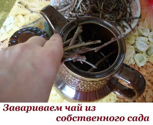 Безалкогольные горячие напитки и травяные чаи для автономных условий