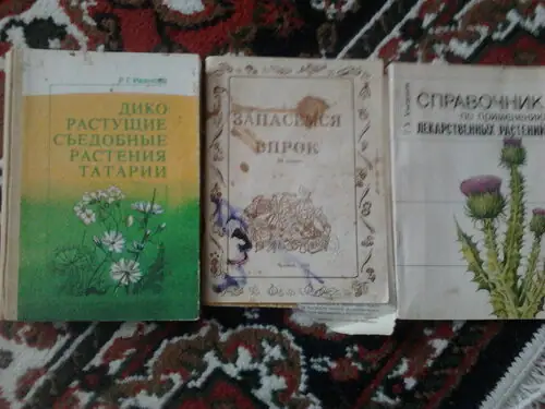 Бумажная библиотека для выживания: отбор литературы и носители информации