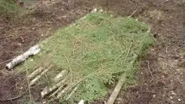 Одиночные походы выходного дня: опыт вылазок, снаряжение и организация лагеря