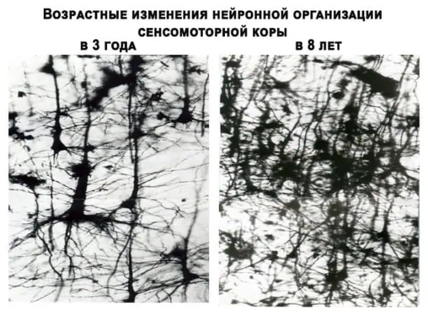 Организация обучения детей вдали от школ: экстернат, семейное образование и домашние…