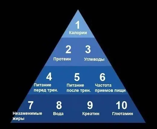 Пирамида мышечного роста: расстановка приоритетов в питании