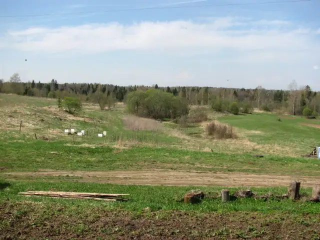 Восстановление заброшенного сада, обрезка деревьев и черенкование ягодных культур