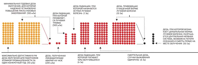 Разработка специализированного программного обеспечения для выживальщиков