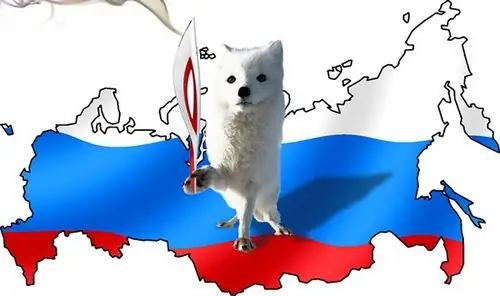 Нижегородская область: координация сообщества, тренировочные базы и автономные поселения