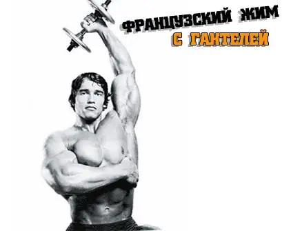 Основы физической культуры в домашних условиях: базовые упражнения, физиология и…