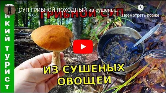 Походное питание: рецепты овощного рагу с тушенкой и грибного супа из сушеных овощей